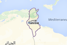 Túnez: nueva Constitución y la democracia posible
